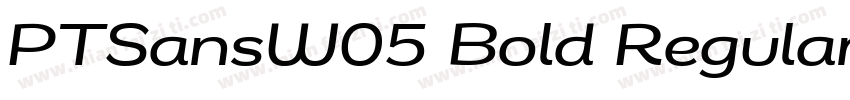 PTSansW05 Bold Regular字体转换